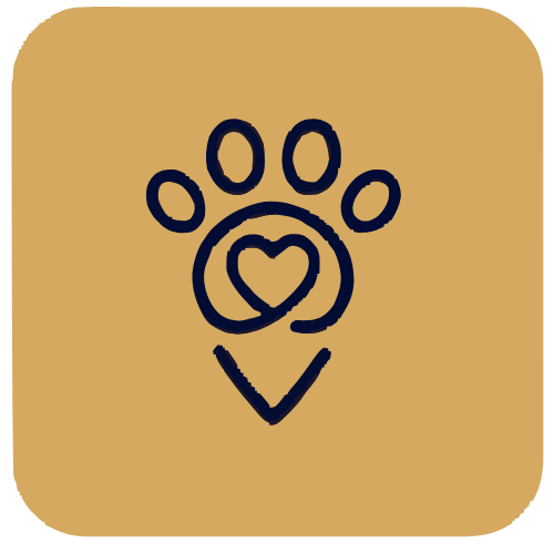 pet favicon